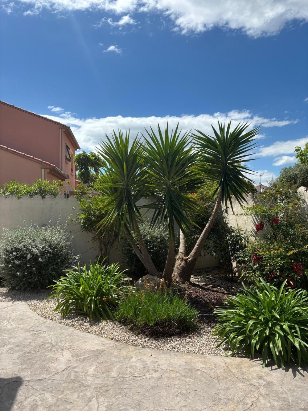 La Maison Brennus , Piscine, 15 Min Des Plages Béziers Kültér fotó